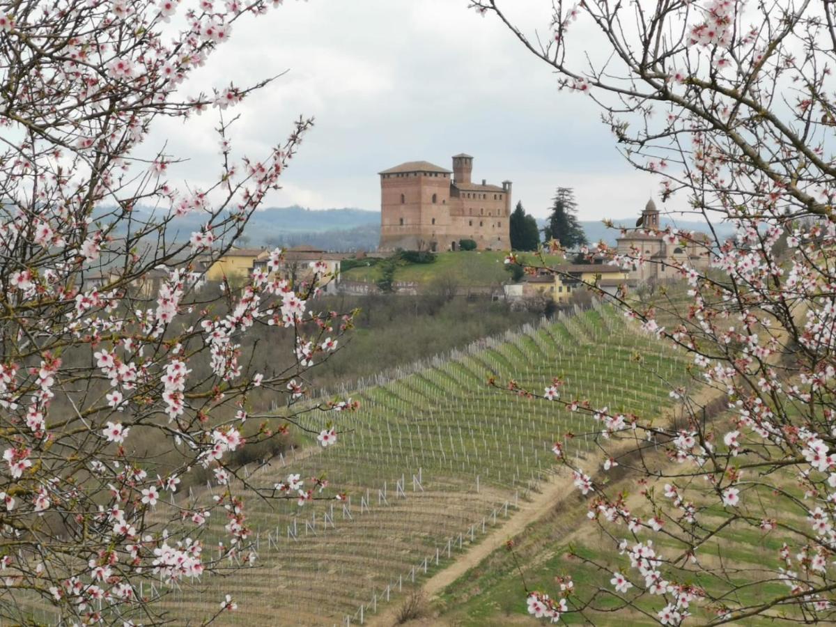 Casa Pulci Hotell Grinzane Cavour Eksteriør bilde