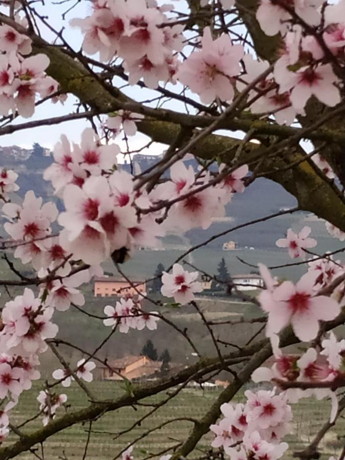 Casa Pulci Hotell Grinzane Cavour Eksteriør bilde